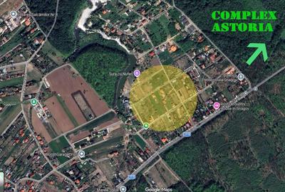 Spațiu comercial, în Snagov - 1