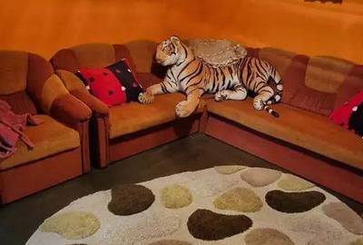 Casă cu 4 camere în Lăicăi - 7