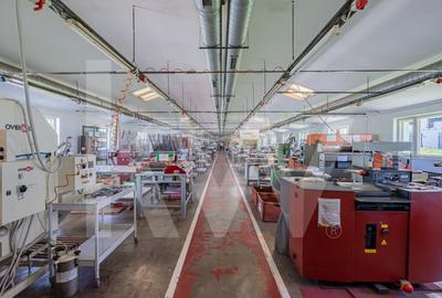 Proprietate industriala cu hale moderne, teren generos si acces Autostrada A1 Proprietate industriala cu hale moderne, teren generos si acces Autostrada A1 - 10