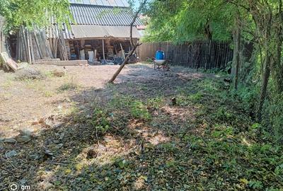 Carbunesti, Prahova - 17