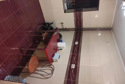 Apartament cu 2 camere decomandat în Gorjului - 10
