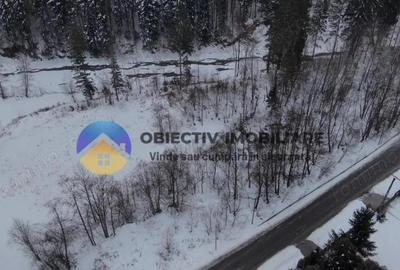 Teren de 2283 mp, în Tarcău - 6