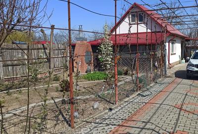 Casă cu 2 camere în Nicolae Bălcescu - 3