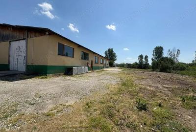 Vanzare complex industrial *hala 682 mp + teren 2,5 ha* - Tetila - 2