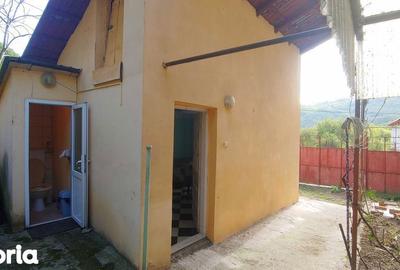 Casă cu 4 camere cu Teren 108 Mp în Topleț