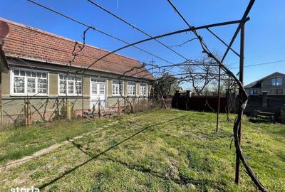 Casă cu 3 camere cu Teren 1500 Mp în Saca - 6