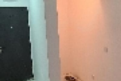 Proprietar apartament 2 camere berceni - 3