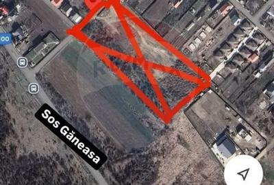 Vanzare teren intravilan 10.000mp Afumati - Strada Teiului - 3