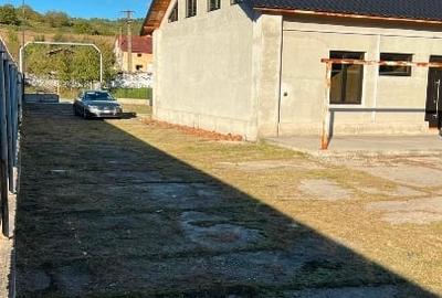 Casă nouă de vanzare 218 mp+ curte 1487 mp+ teren livadă 6600 mp - 6