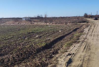 Teren de 830 mp, în Mogoșești - 2