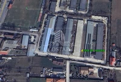 Nicolae Balcescu-hala 1.100 mp-productie sau depozitare-teren 3.084 mp-acces TIR - 2