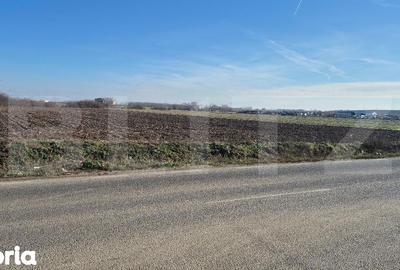 Teren de 7300 mp, în Lazuri