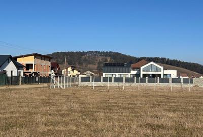 Teren de 800 mp, în Sânpetru - 6
