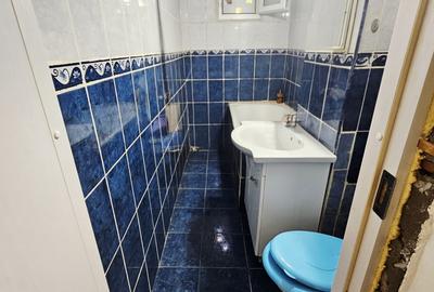 Apartament 2 camere, confort 2, parter – zona Malu Roșu - 12