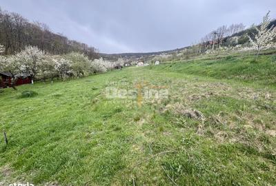 Spațiu comercial, în Central - 4