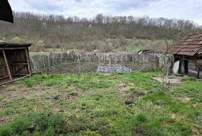 Casă cu 3 camere în Pleșcuța - 5