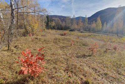 Spațiu comercial, în Nord - 2