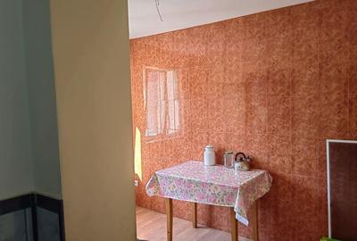 Apartament cu 3 camere în Petrila - 10