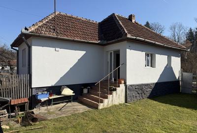 Casă cu 2 camere în Dumbrăvița - 1