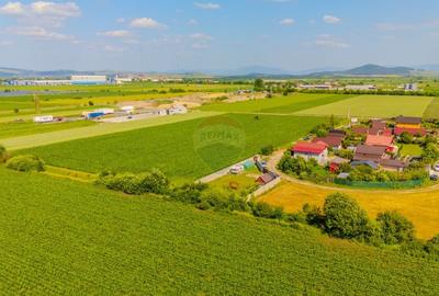 Teren 716mp Halchiu / Strada Privighetorii
