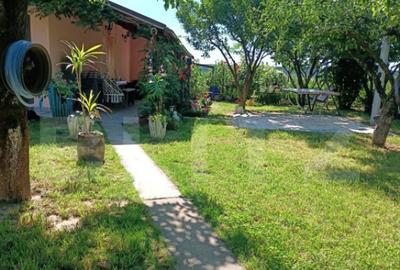 Teren 10 arii extravilan zona Careiului - 9