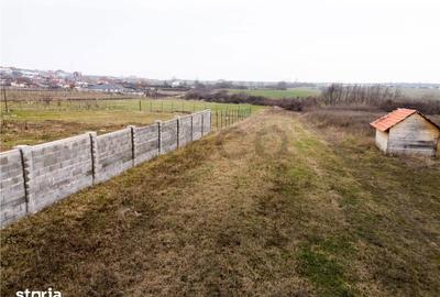 Teren de 1600 mp, în Sânmartin - 11