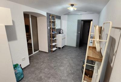 Apartament 50 m2 demisol Cladire Istorica - 3