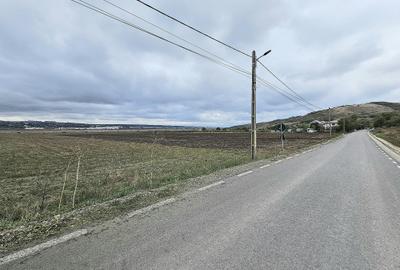 Teren 17500 mp, zona Gaureni,str. Eroilor Teren 17500 mp, zona Gaureni,str. Eroilor - 3