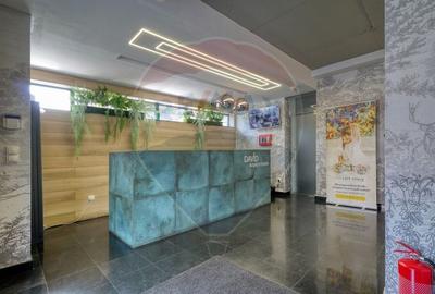 Spatiu de Birouri Premium pe Iancu Nicolae - 4