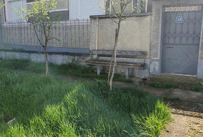 Vand casa Bicaci - 2