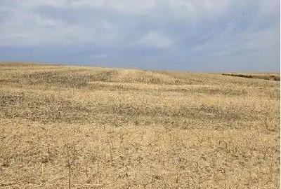 Teren Negureni, cota parte 1/8, ID: R2695094 - 2