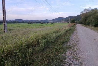 Teren de 30000 mp, în Lupoaia - 4