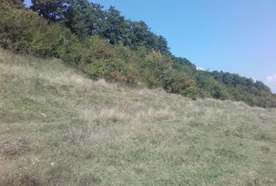 Teren, loc de casă, vânzare 3500 mp Cornesti-Bălești-Gorj, 2 euro mp - 7
