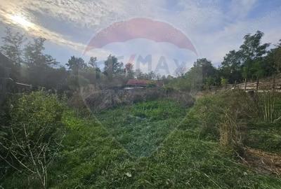 Casă cu 3 camere cu Teren 12955 Mp în Jdioara - 12