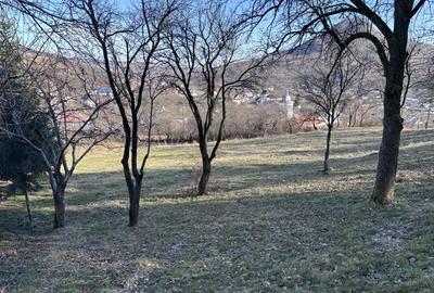 Teren de 5000 mp, în Gârcina