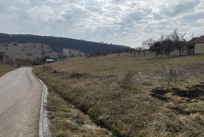 Teren intravilan de vanzare - Fasca, comuna Varciorog, judetul Bihor - 4