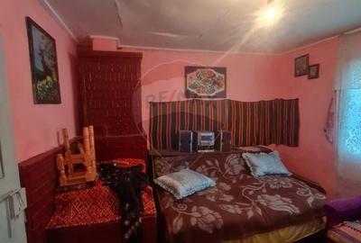 Casă cu 3 camere cu Teren 1273 Mp în Jiliște - 3