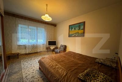 Casa cu 6 camere in Hunedoara zona Zlasti - 17