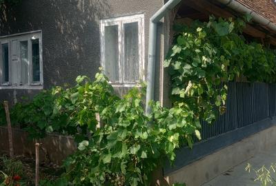 Casă cu 3 camere semidecomandat în Exterior Vest - 3