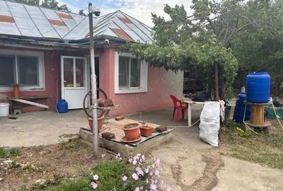 Casă cu 3 camere cu Teren 1930 Mp în Cojești - 4