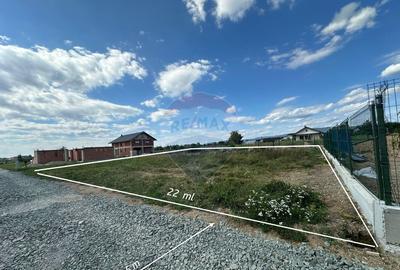 Teren de 1000 mp, în Cătălina - 5