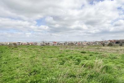 Teren Intravilan de constructii | 1184 mp | Ovidiu | Academia Hagi - 3