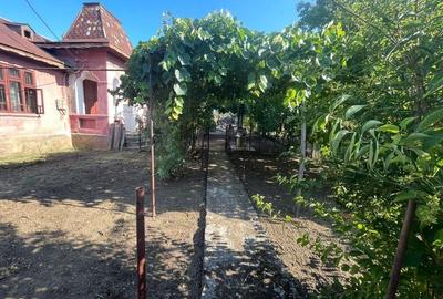 Casă cu 3 camere în Radovan - 1