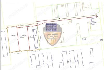 Teren de 10000 mp, în Lumina