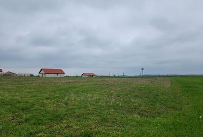 Casă cu 3 camere în Rogova - 6