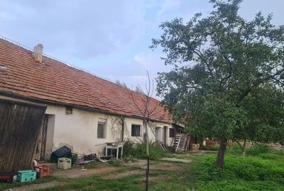 Casă cu 4 camere cu Teren 3000 Mp în Cârnești - 4