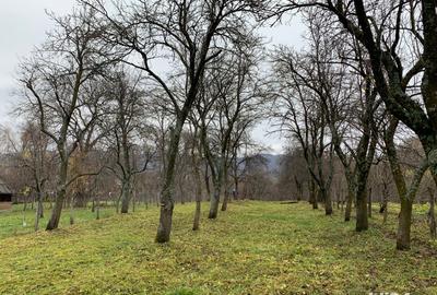 Teren de 1500 mp, în Corbi - 5