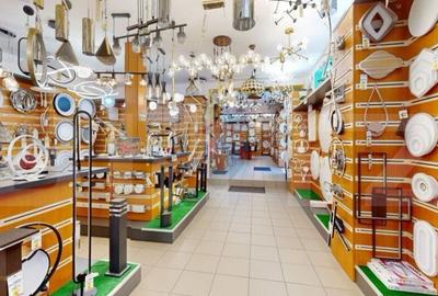 Descopera Loca?ia Ideala pentru Afacerea ?i Locuin?a Ta - 9