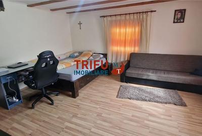 Casă cu 2 camere cu Teren 437 Mp în Ighiu - 3