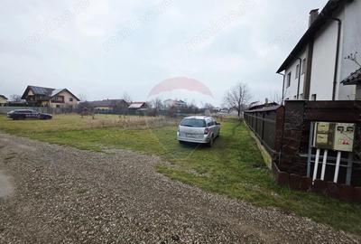 Teren 519mp Dumbrava Rosie / Strada CRANGULUI - 5